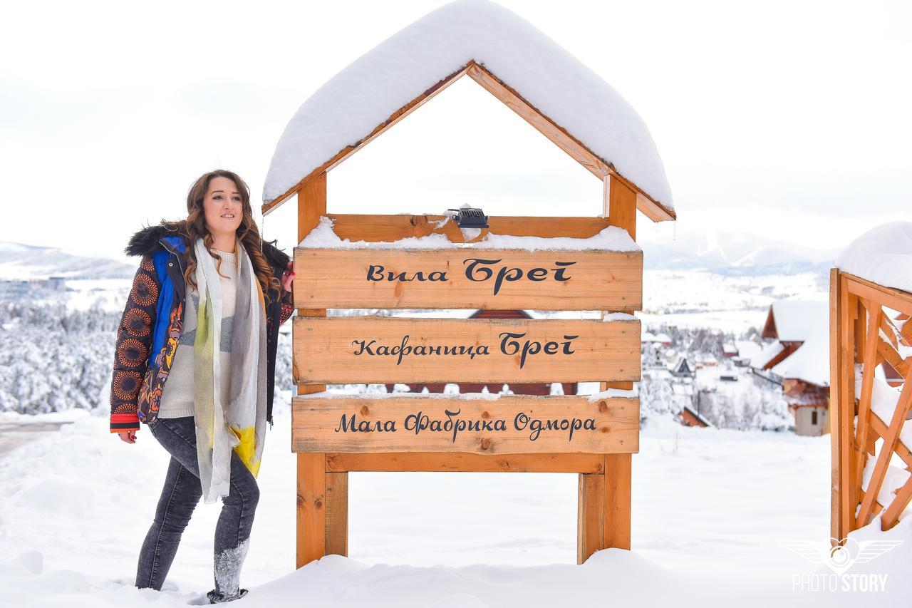 Vila Breg Златибор Екстериор снимка